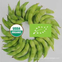 Nop EU Certified Frozen IQF Organic Edamame Beans, Soybeans From China
